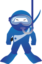 Web Ninja